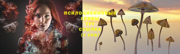 каннабис Арсеньев