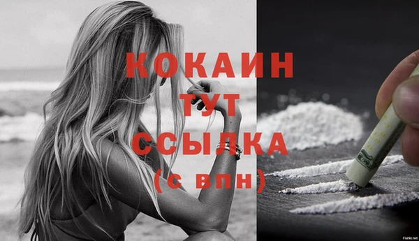 шишки Сафоново