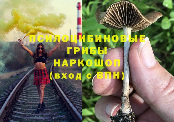 мяу мяу мука Армянск