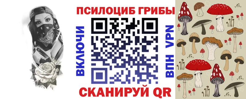 Галлюциногенные грибы Cubensis  Белозерск 